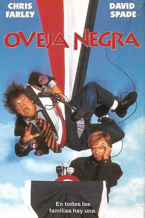 Oveja negra