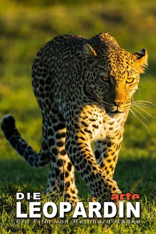 La leopardo