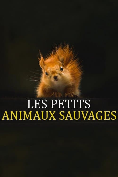 Les Petits Animaux Sauvages