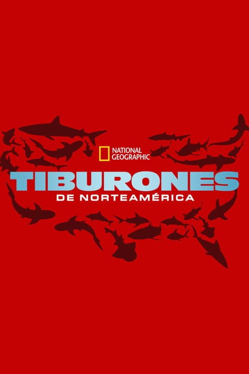 United Sharks of America