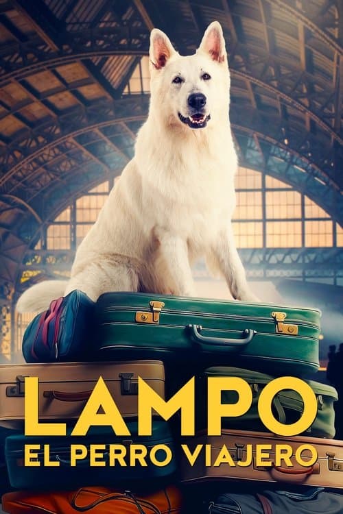 Lampo, el perro viajero
