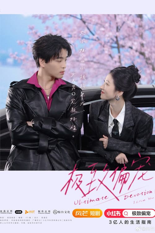 极致偏宠