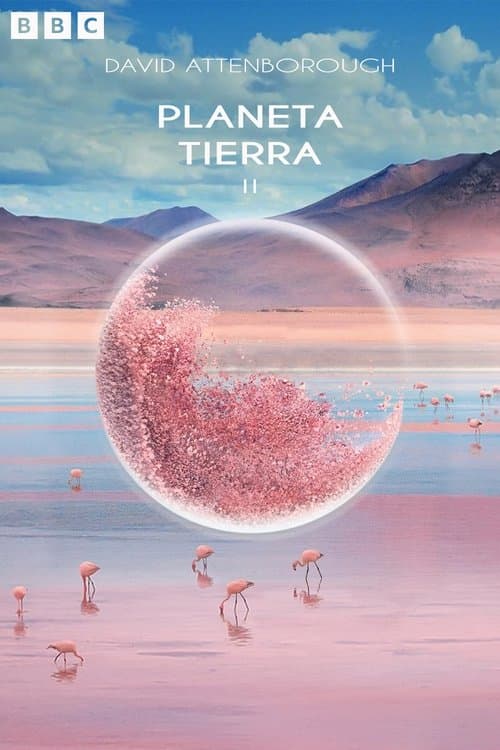 Planeta Tierra II