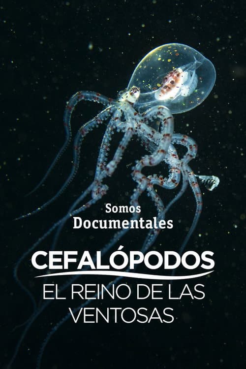 Cefalópodos, el reino de las ventosas