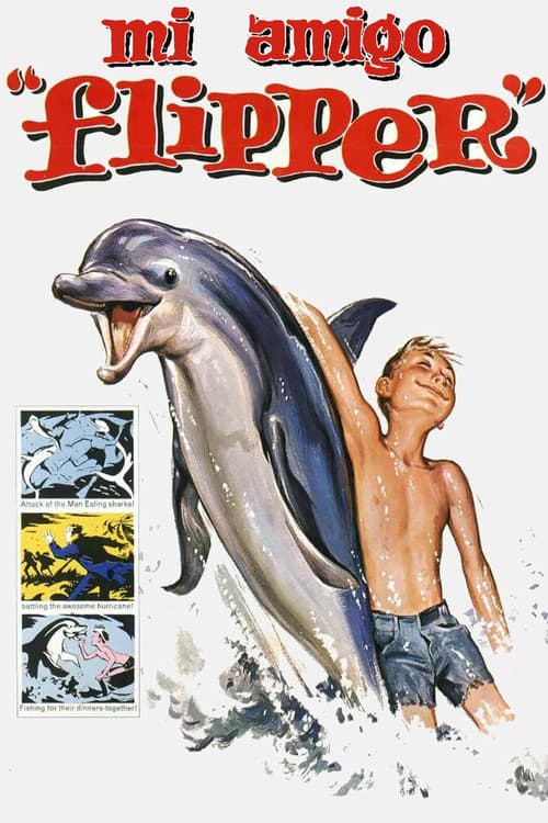 Mi amigo Flipper