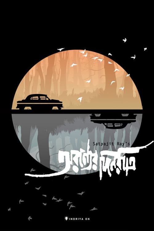 Días y noches en el bosque