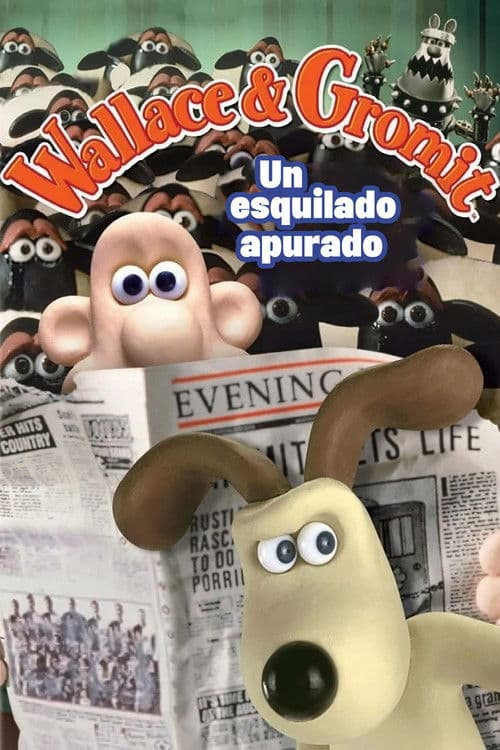 Wallace y Gromit: Un esquilado apurado