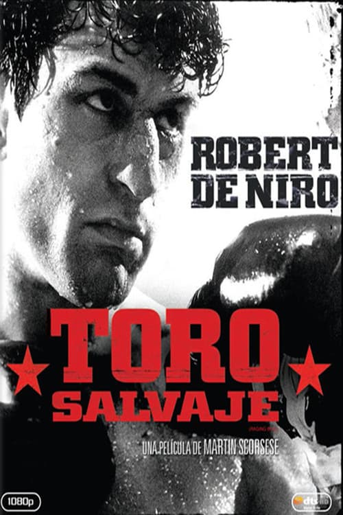 Toro salvaje